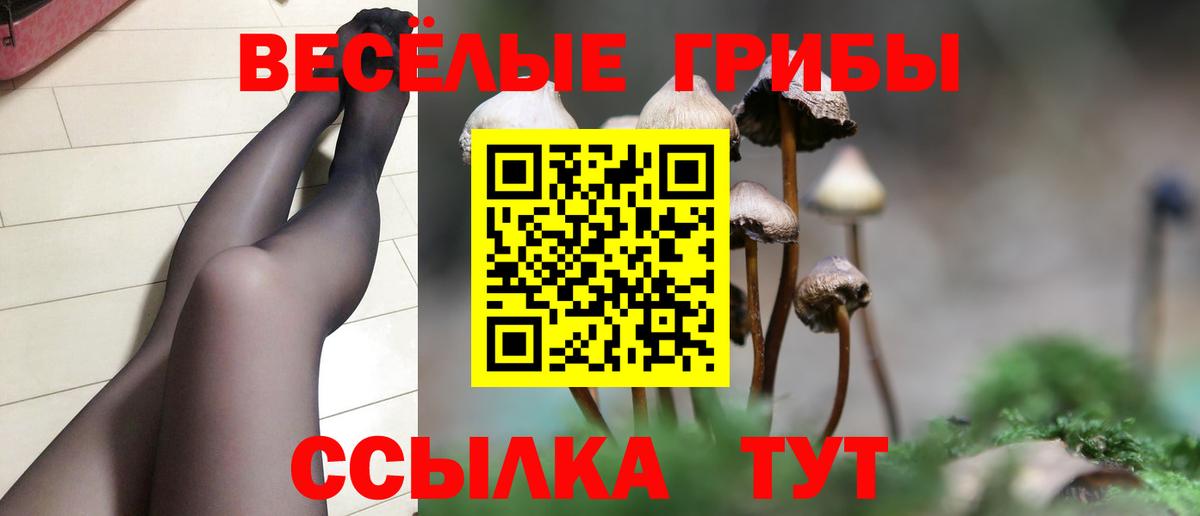 Псилоцибиновые грибы Cubensis  Вход с VPN  Миасс 